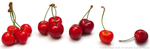 The art of cherry picking in science. Image copyright fotalia, credit Emanuelle Guillow