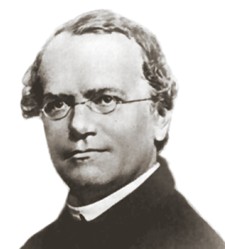 Mendel is famous for his work in plant genetics. He is also infamous for doctoring his experimnetal results in order for them to be accepted by the scientific sommunity.