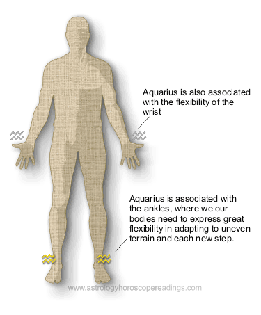 The aquarius astrological sign and its relationships to the body. . Image copyright 2014 Roman Oleh Yaworsky, www.astrologyhoroscopereadings.com