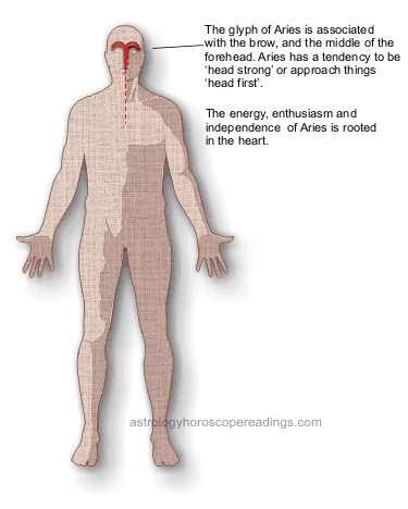 The relationship of Aries to the body. Image copyright 2014 Roman Oleh Yaworsky, www.astrologyhoroscopereadings.com