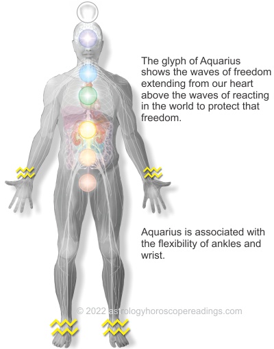The aquarius astrological sign and its relationships to the body. Image copyright 2014 Roman Oleh Yaworsky, www.astrologyhoroscopereadings.com