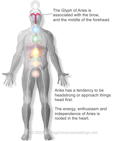 The relationship of Aries to the body. Image copyright 2014 Roman Oleh Yaworsky, www.astrologyhoroscopereadings.com