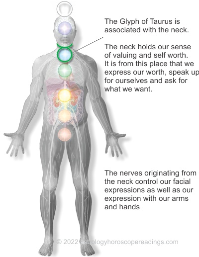 The Taurus astrology sign and the related areas of the body. Image copyright 2014 Roman Oleh Yaworsky, www.astrologyhoroscopereadings.com