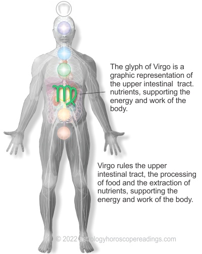 The relationship of the Sun Sign Virgo to the body and the upper intestinal tract. Image copyright 2014 Roman Oleh Yaworsky, www.astrologyhoroscopereadings.com
