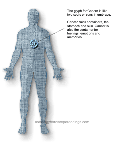 The relationship of the Sign Cancer to the body. Image copyright 2014 Roman Oleh Yaworsky, www.astrologyhoroscopereadings.com