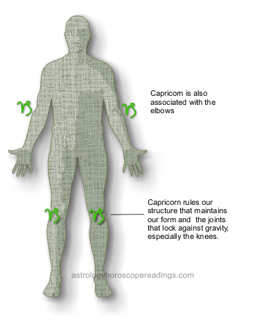 The relationship of Capricorn to the body. It is associated with the knees especially but also with the elbows. Image copyright 2014 Roman Oleh Yaworsky, www.astrologyhoroscopereadings.com