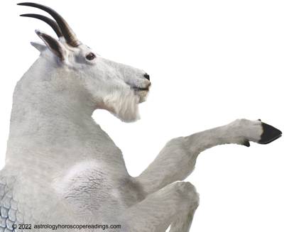 The ancient depiction of Capricorn is the half goat, half fish. Image copyright 2014 Roman Oleh Yaworsky, www.astrologyhoroscopereadings.com