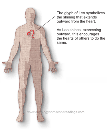 The relationship of Leo to the body. Image copyright 2014 Roman Oleh Yaworsky, www.astrologyhoroscopereadings.com