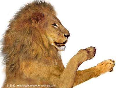 The astrological sign Leo, showing the fighting stance of the Lion, left paw ahead of the right, facing and risking forward. . Image copyright 2014 Roman Oleh Yaworsky, www.astrologyhoroscopereadings.com