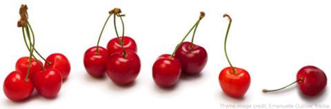 The art of cherry picking in science. Image copyright fotalia, credit Emanuelle Guillow