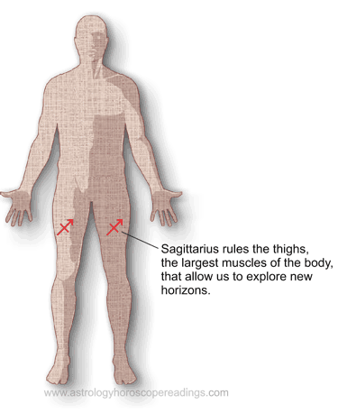 The relationship of the sign Sagittarius to the body. . Image copyright 2014 Roman Oleh Yaworsky, www.astrologyhoroscopereadings.com