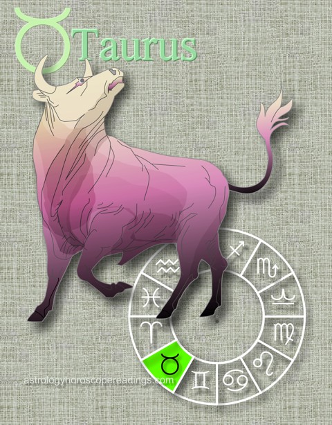 The depiction of Taurus the bull. Image copyright 2014 Roman Oleh Yaworsky, www.astrologyhoroscopereadings.com