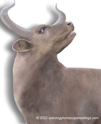 Taurus